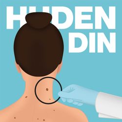 cover art for Huden din 