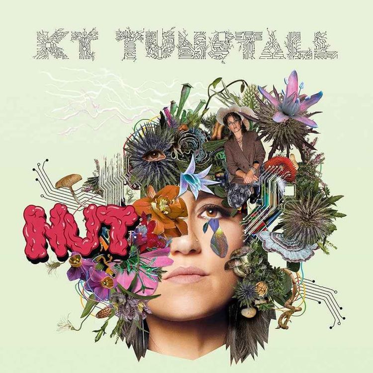 cover art for KT TUNSTALL interview