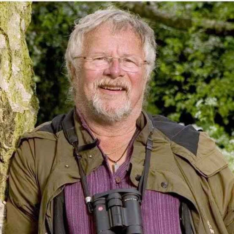 cover art for BILL ODDIE interview