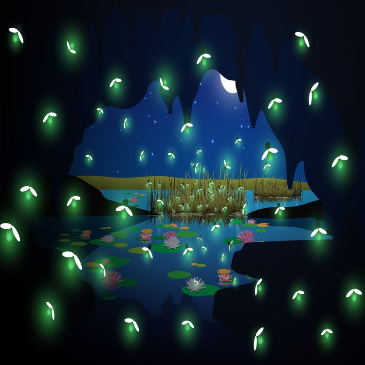 cover art for Odisseia de geografia e culturas