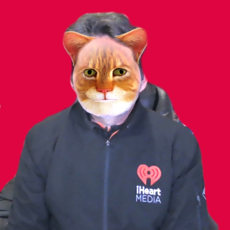 cover art for Season 20, Episode 5: How to Zoom as a cat; VDay tech gifts; let Alexa answer your Ring doorbell