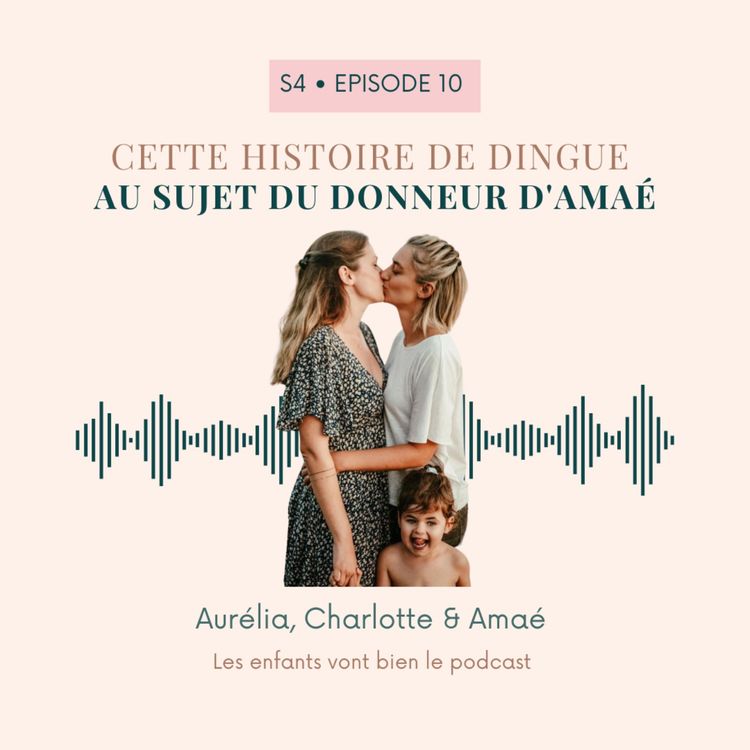 cover art for Cette histoire de dingue au sujet du donneur d'Amaé