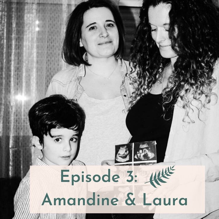 cover art for Amandine et Laura: De la coparentalité à la PMA en Espagne
