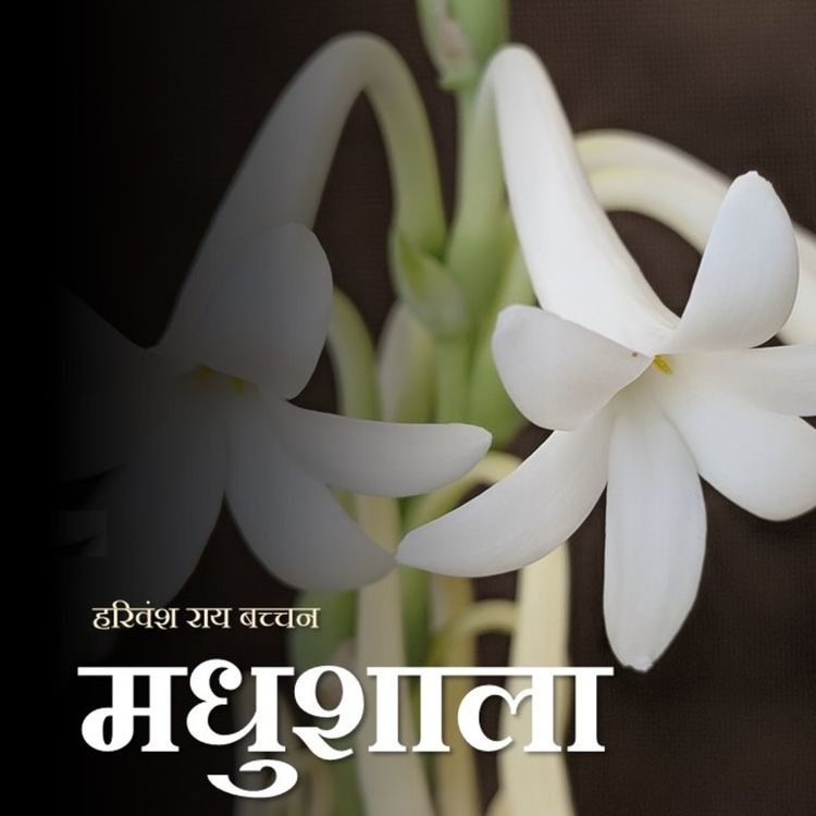 cover art for 11. Bachchan's Madhushala, Mrig Trishna