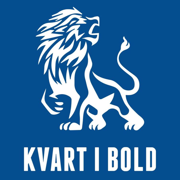 cover art for Kvart i kvindebold - Starten på et eventyr