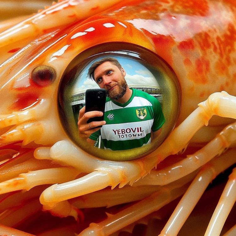 cover art for Gloverscast #401 - "Have you ever looked at a prawn close up?"