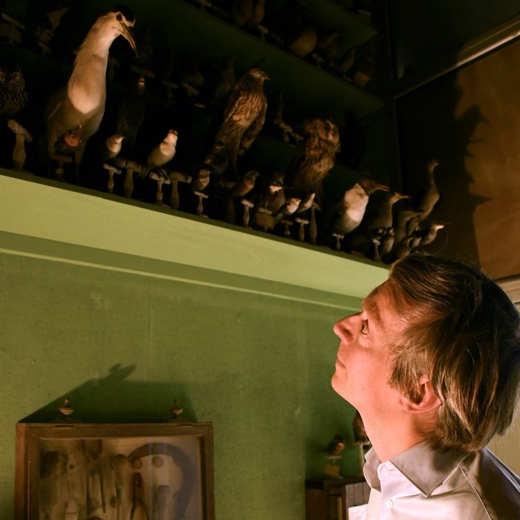 cover art for Roel Arkesteijn - Commissaire d'exposition / Art curator