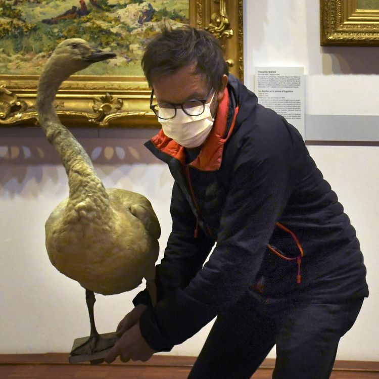 cover art for Olivier Crabbé - Régisseur principal