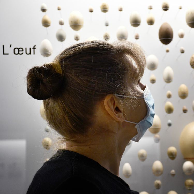 cover art for Patricia Maillard - Médiatrice