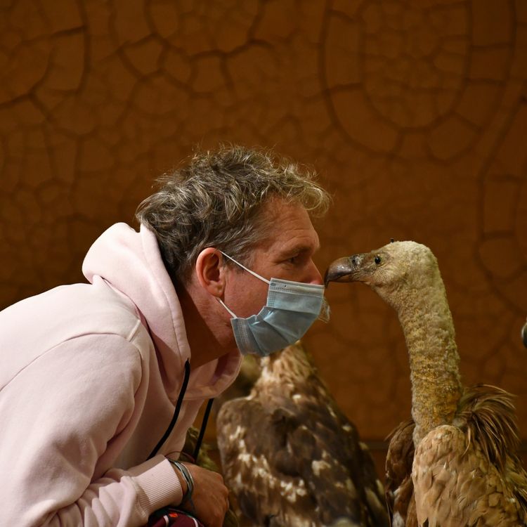 cover art for Abraham Poincheval - Artiste