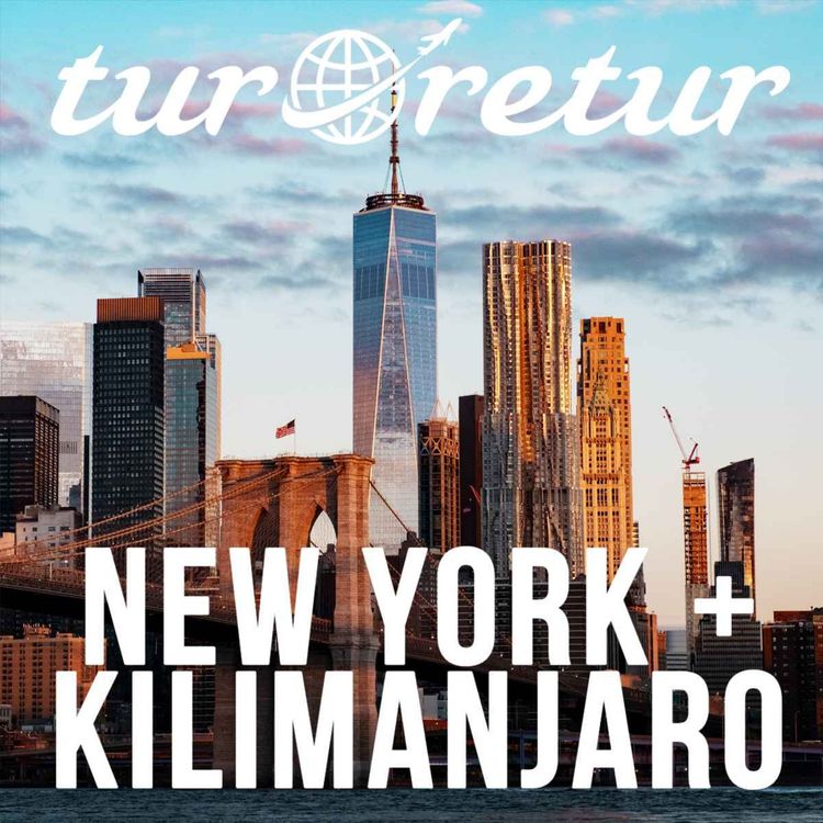 cover art for New York + Kilimanjaro