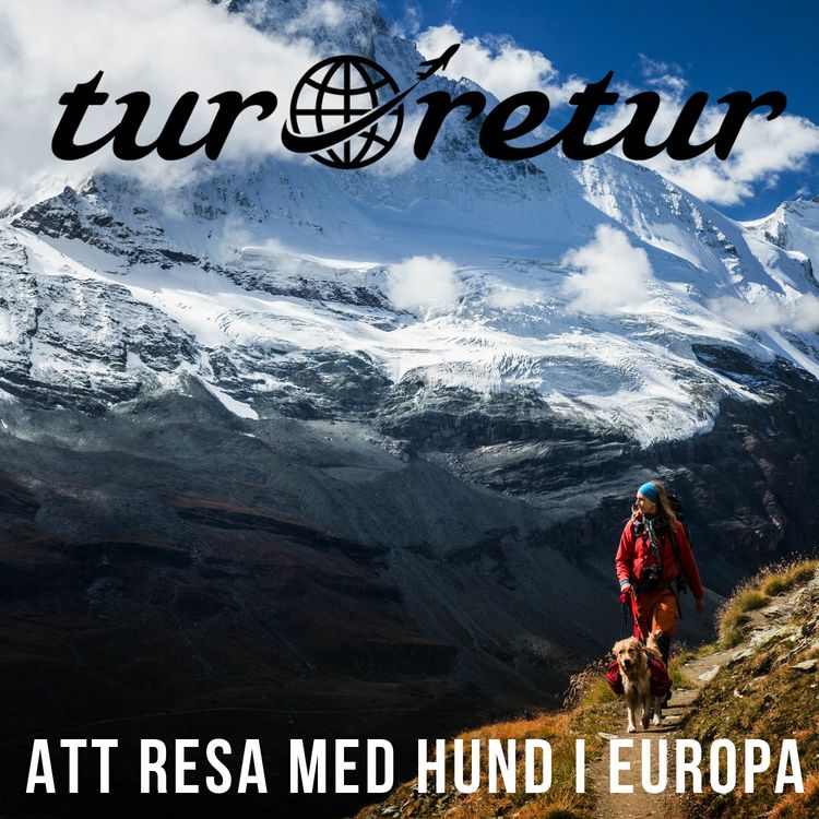 cover art for Att resa med hund i Europa