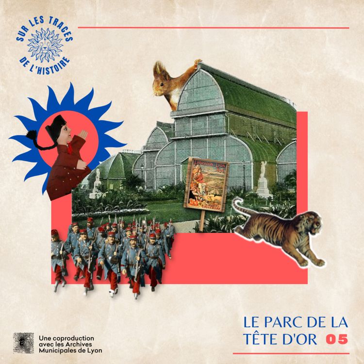 cover art for 5/6 Guignol et la plaque d'immatriculation 