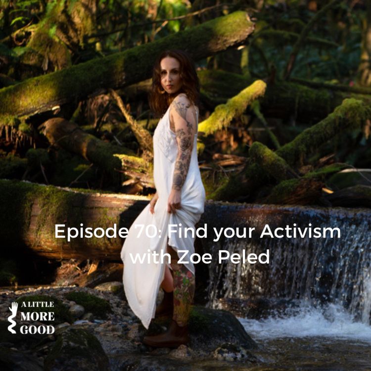 cover art for Find your Activism with Zoe Peled