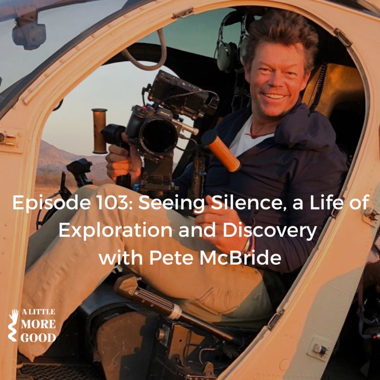 cover art for Seeing silence, a life of exploration and discovery with Peter McBride 