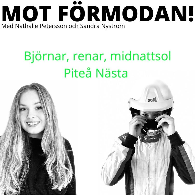cover art for Björnar, renar, midnattssol och Piteå nästa 