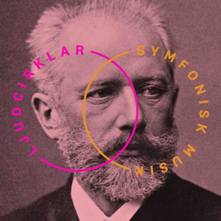 cover art for Dansant musik