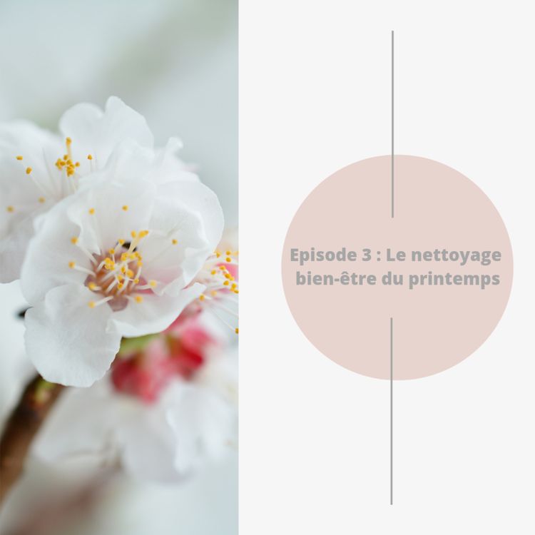 cover art for Episode 3 : Le nettoyage bien-être du printemps