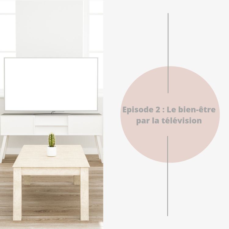 cover art for Episode 2 : Le bien-être par la télévision