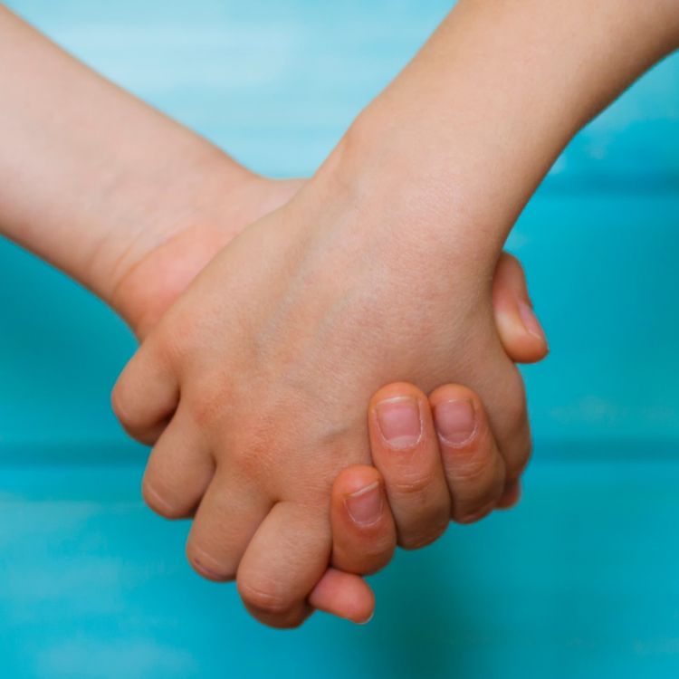 cover art for Skrytka z orzechami 