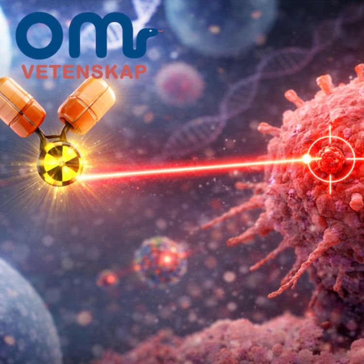 cover art for Målsökande läkemedelsmolekyler 