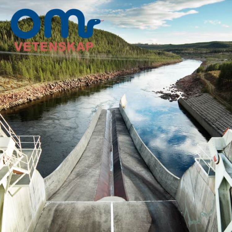 cover art for Mer svensk vattenkraft i den gröna omställningen?