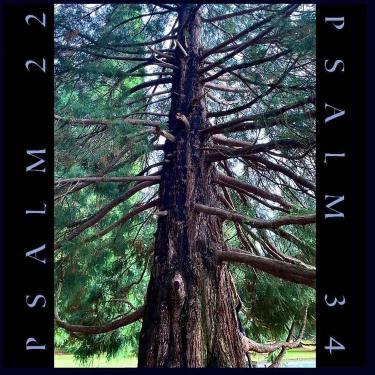 cover art for Zander's Sunday Sauce - Psalm 22 - Psalm 34