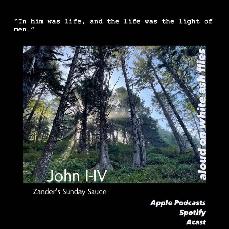 cover art for Zander's Sunday Sauce - John I-IV