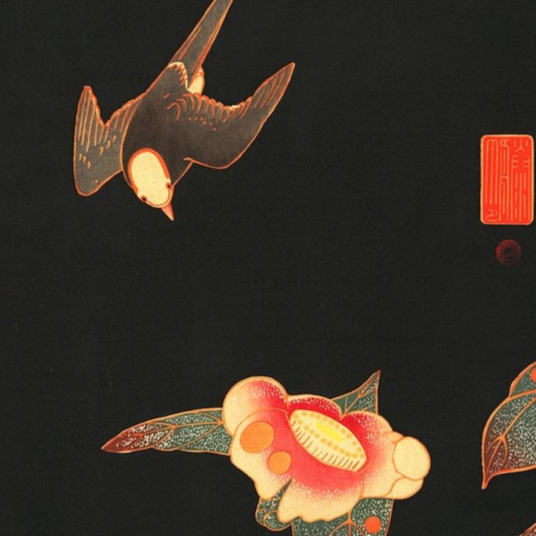 cover art for Zander's Appendix - 3 Poems Containing Birds