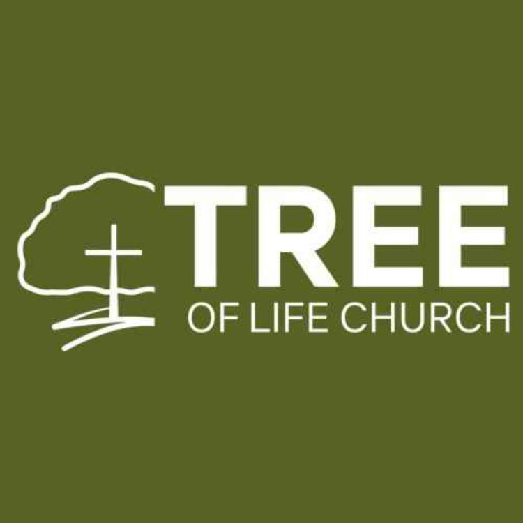 cover art for Wise Men and a Stable | Pastor Don Duncan | Tree of Life Church