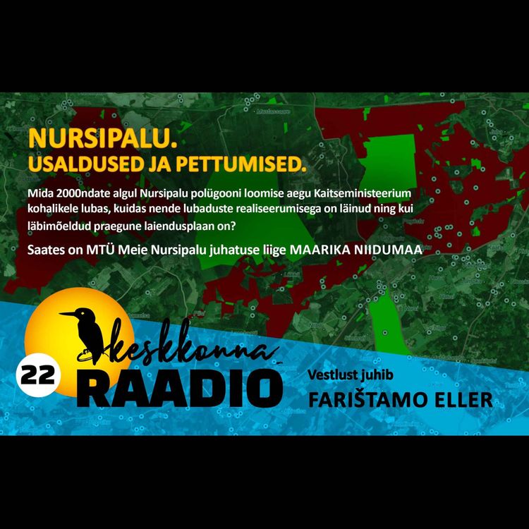 cover art for Nursipalu. Usaldused ja pettumused