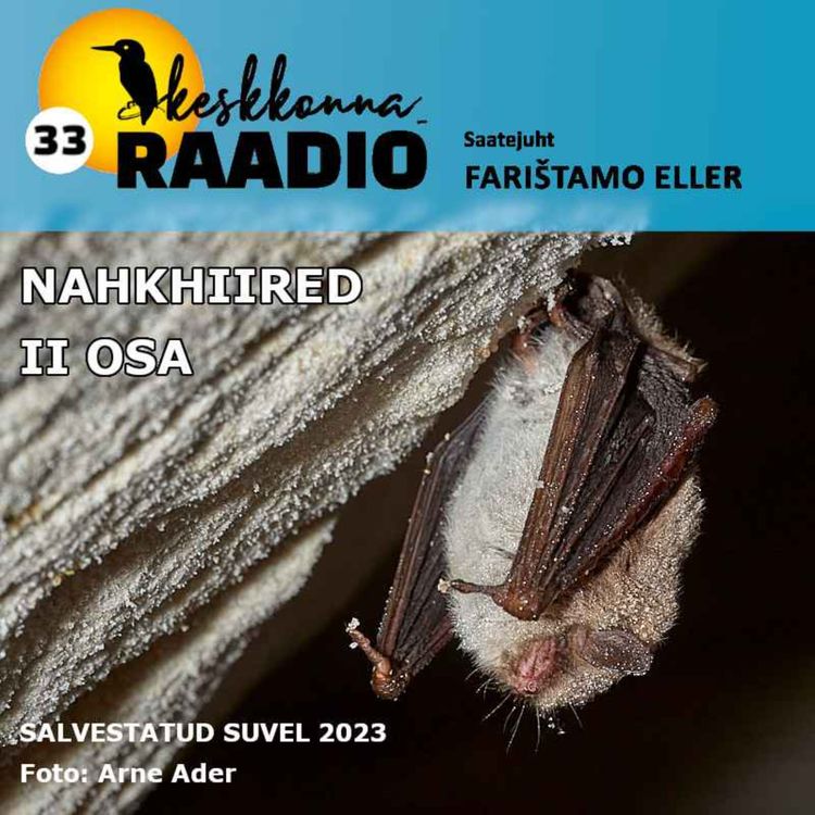 cover art for Keskkonnaraadio 33. Nahkhiired II