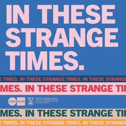 cover art for IN THESE STRANGE TIMES