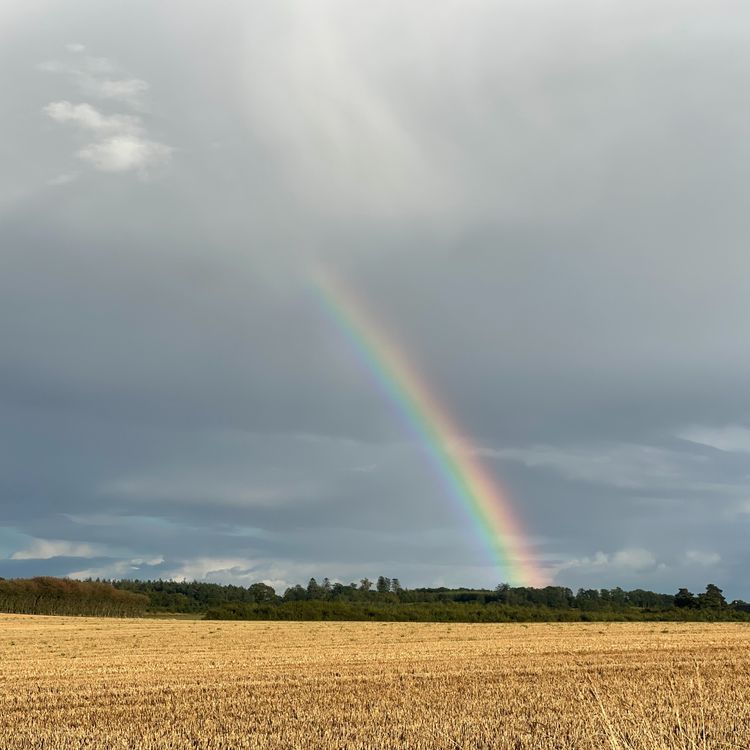 cover art for 126. Gåtur i 'Himmel og Hemmed' 