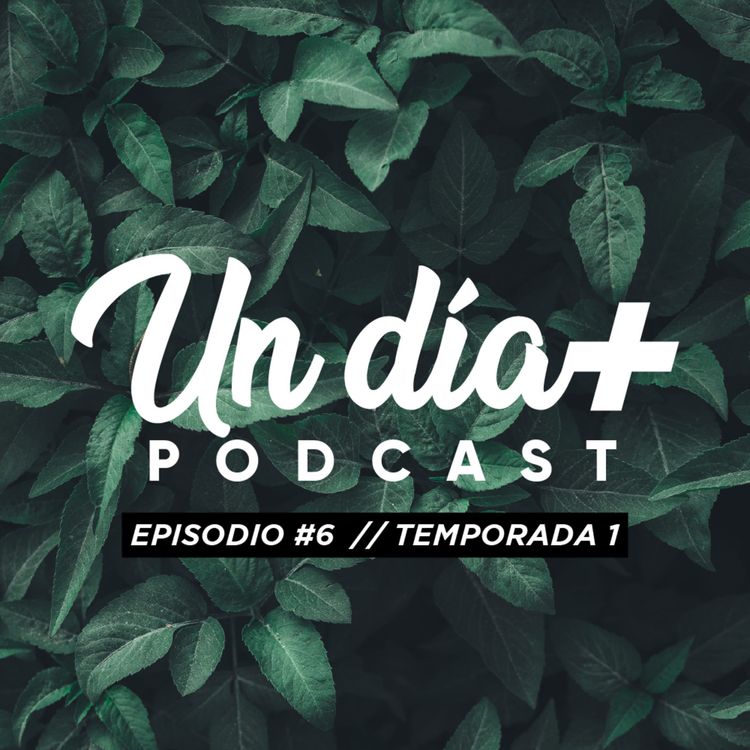 cover art for El regalo del amor / E6 - T1