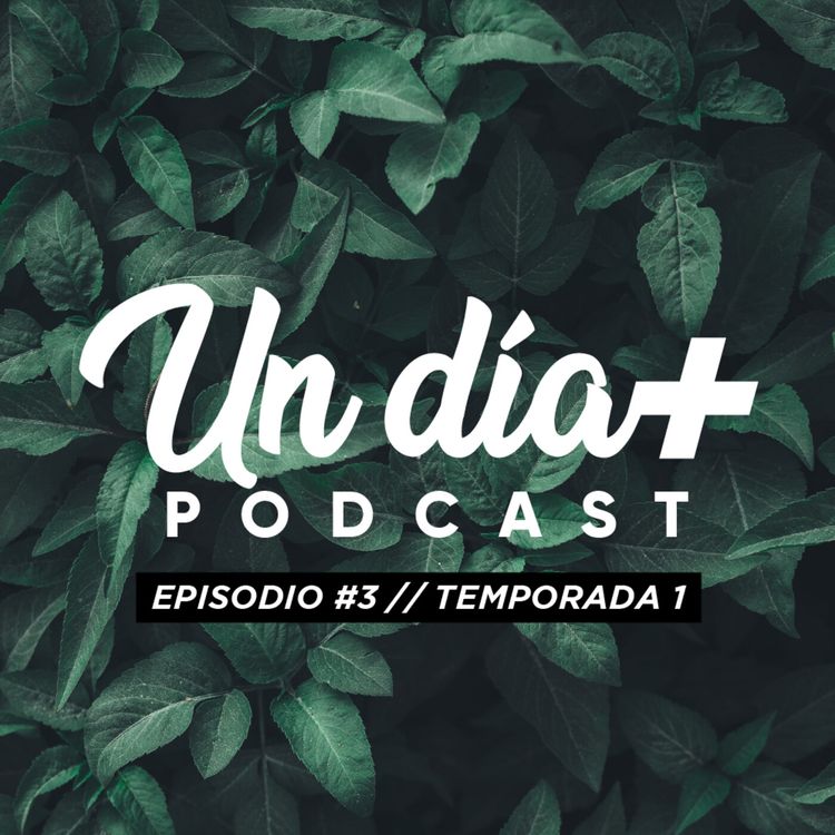 cover art for Continuando con el diagnostico / E3 - T1