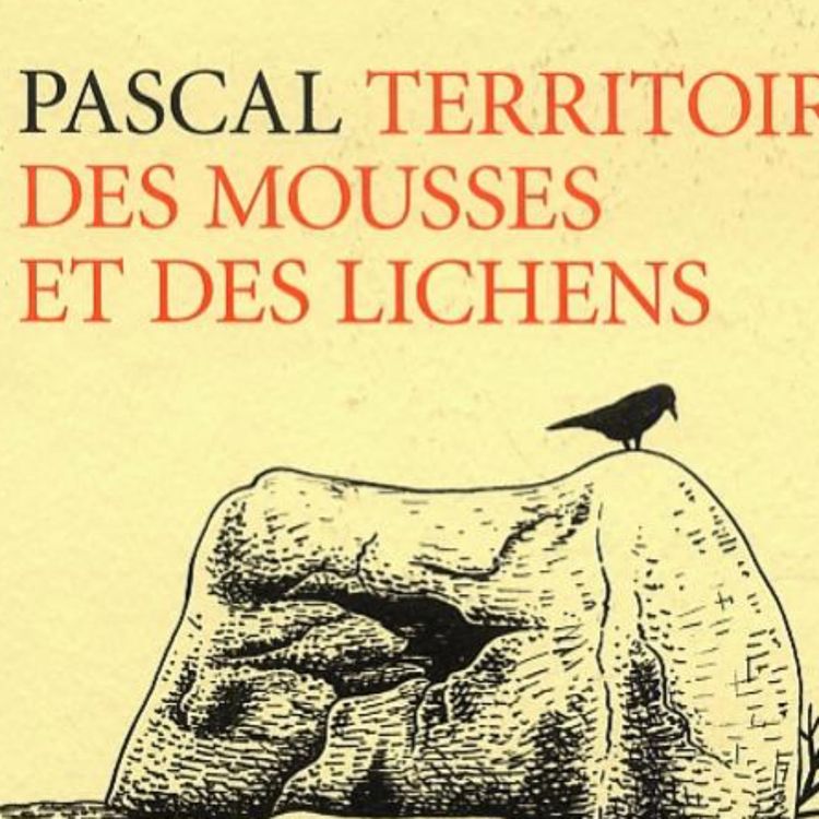 cover art for Hommage à Pascal Blondeaux, dit Pascal.