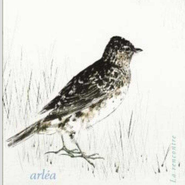 cover art for Demain, dès l’aube, Éloge de l’alouette, Conversations avec les choses muettes.