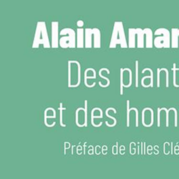 cover art for Alain Amariglio, Des plantes et des hommes, Éditions du Canoë.