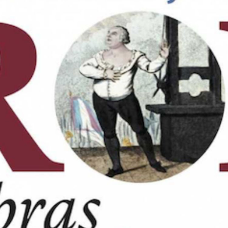 cover art for "Macron, un roi en bras de chemise" d'Armand Farrachi. 