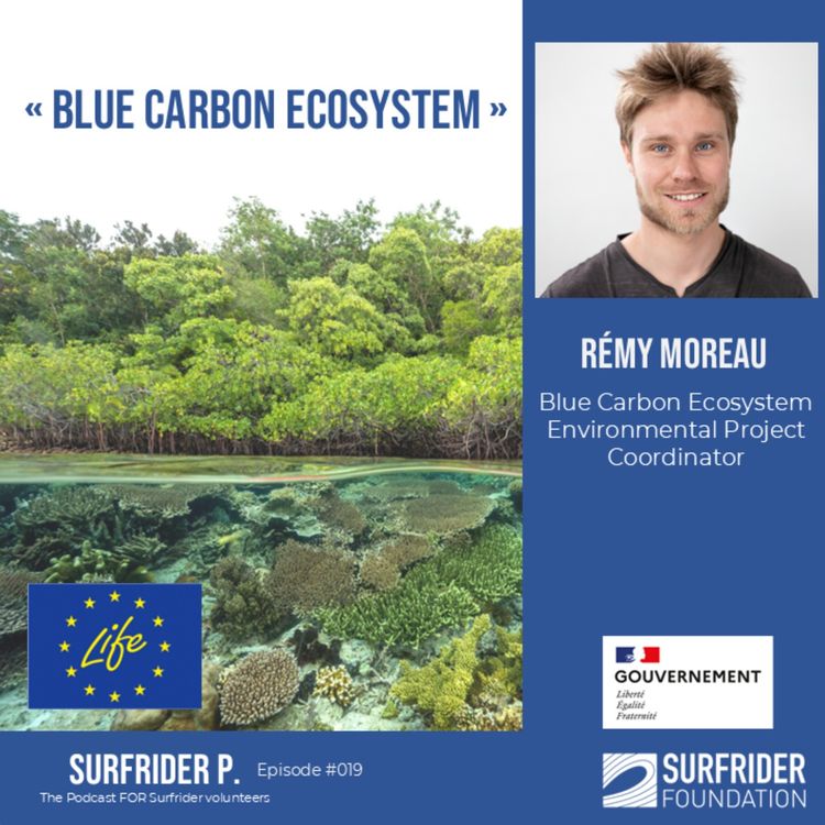 cover art for Surfrider P. - 019 - Rémy Moreau