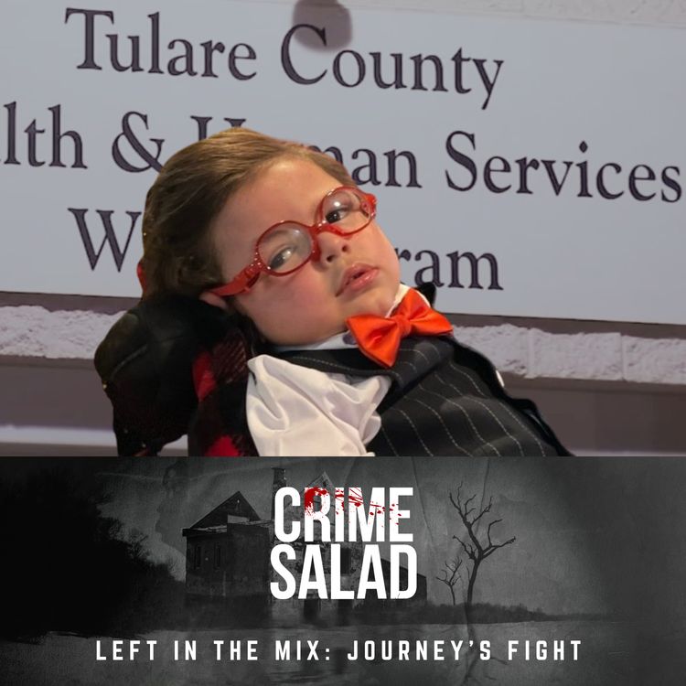 cover art for Left in the Mix: Journey’s Fight