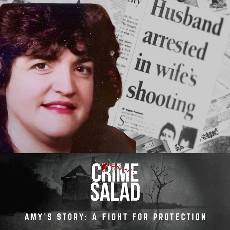 cover art for Amy’s Story: A Fight for Protection