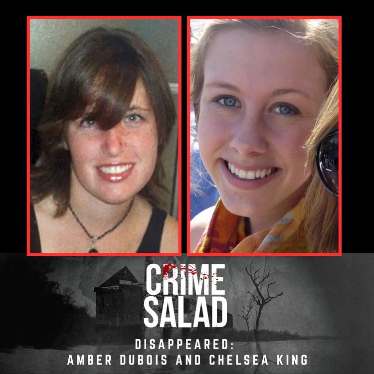 cover art for Disappeared: Amber Dubois and Chelsea King