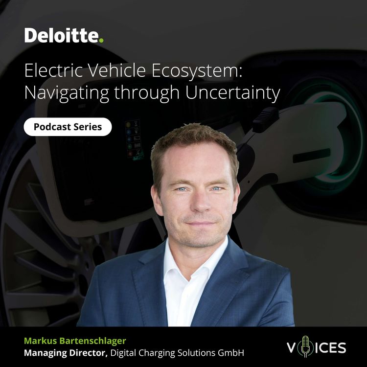 cover art for Electric Vehicle Ecosystem: Navigating through Uncertainty
