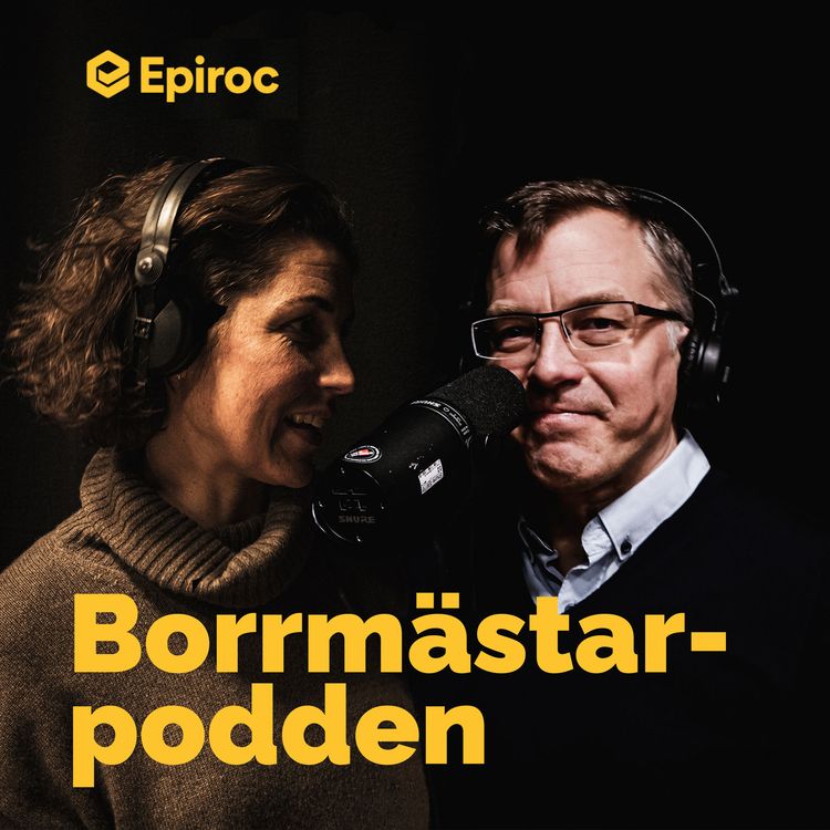 cover art for Borrsystem