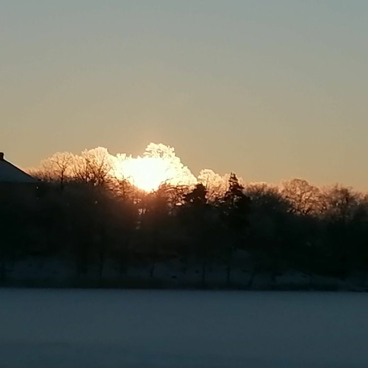 cover art for # 4 "Prestation och depression"