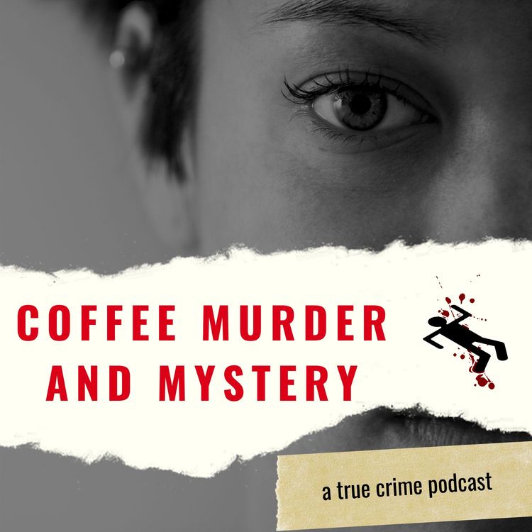 cover art for The Mysterious Disappearance of Brandon Lawson