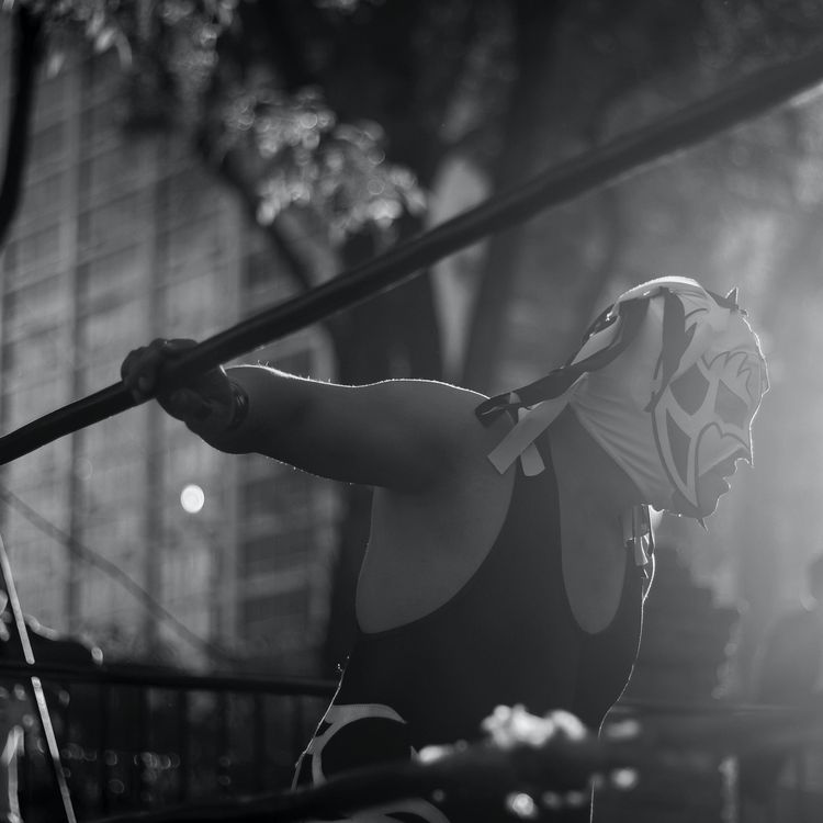 cover art for Reggie The Giant