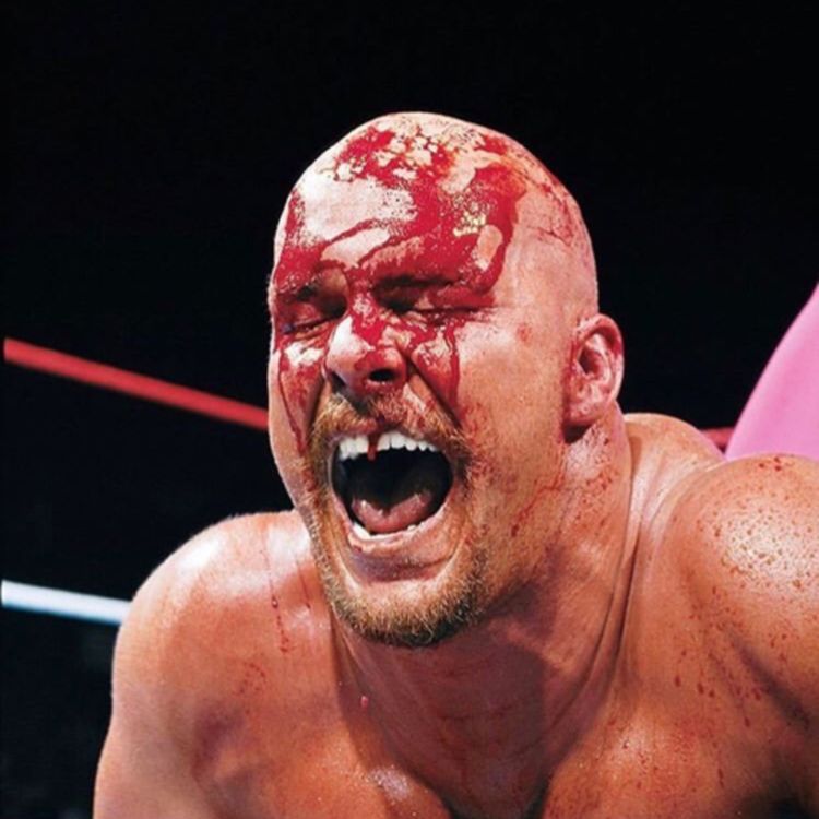 cover art for (38) Wrestlemania 13